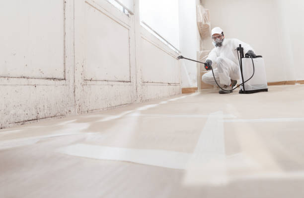 24/7 Emergency Black Mold Removal experts in Irving, TX